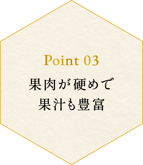 point03 果肉が硬めで果汁も豊富