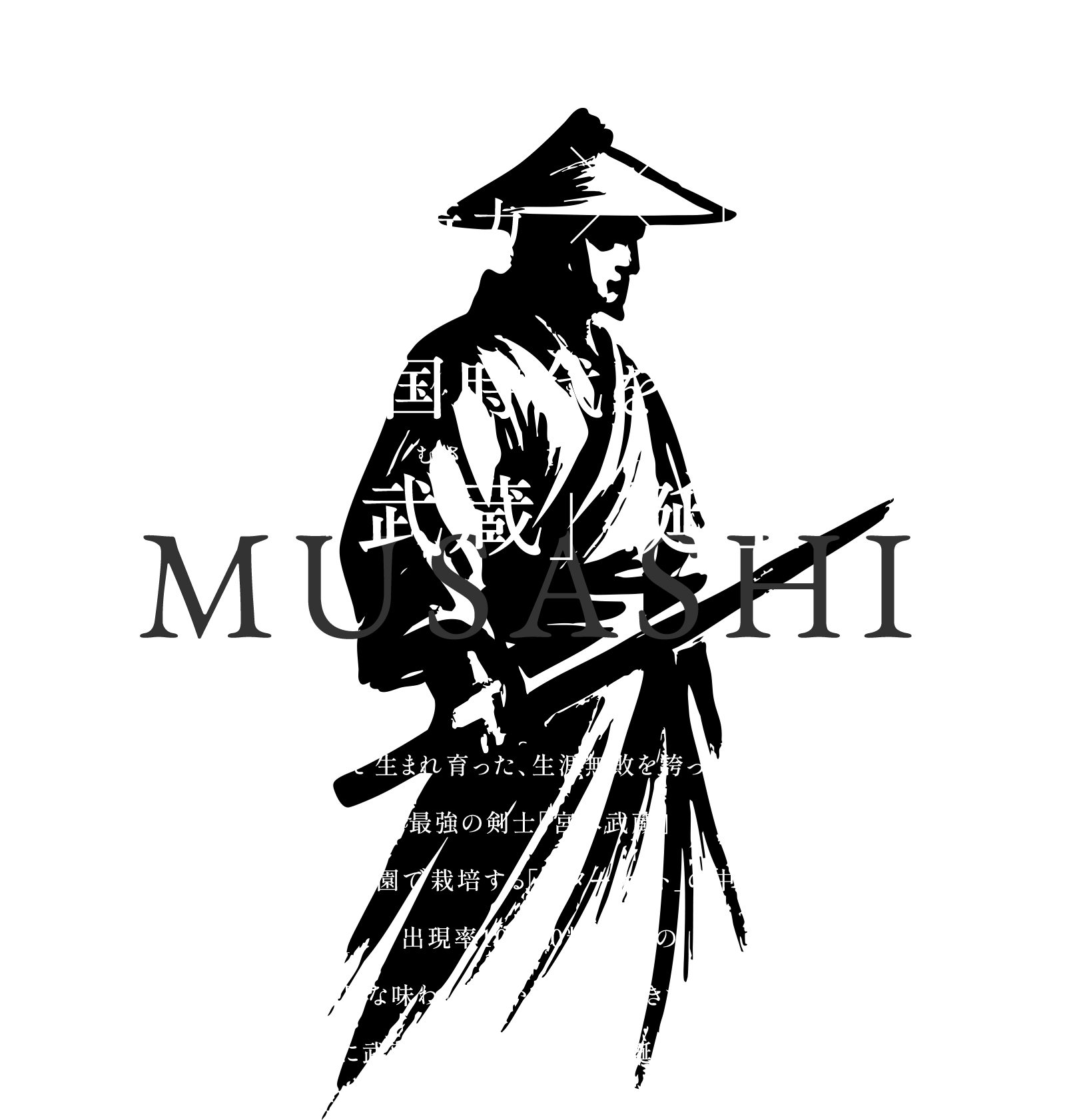目指すは日本一のブランド苺！ギフトいちご栽培26年 美作農園の技術力×次世代の有望品種「スターナイト」。苺の戦国時代を切り開く「武蔵」誕生。美作国で生まれ育った、生涯無敗を誇ったとされる 最強の剣士「宮本武蔵」 美作農園で栽培する「スターナイト」の中でも 出現率10,000粒に1粒の糖度、濃厚な味わい、豊かな風味、大きさを兼ね備えたまさに武蔵のような最強の苺が誕生しました。